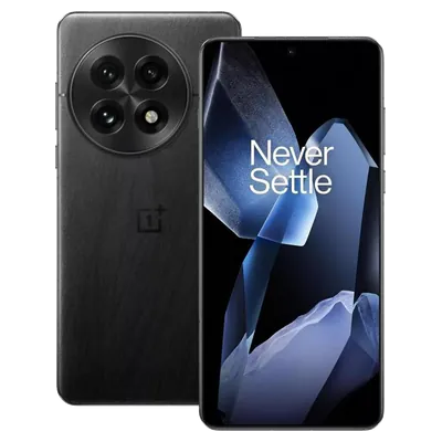 OnePlus 13