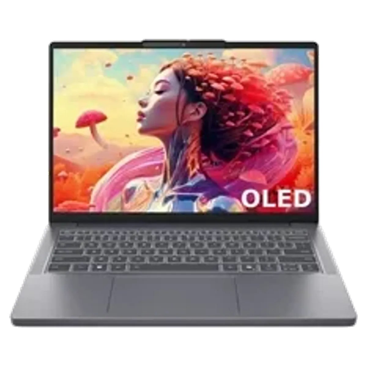 Lenovo Lenovo IdeaPad Slim 14" reconditionné