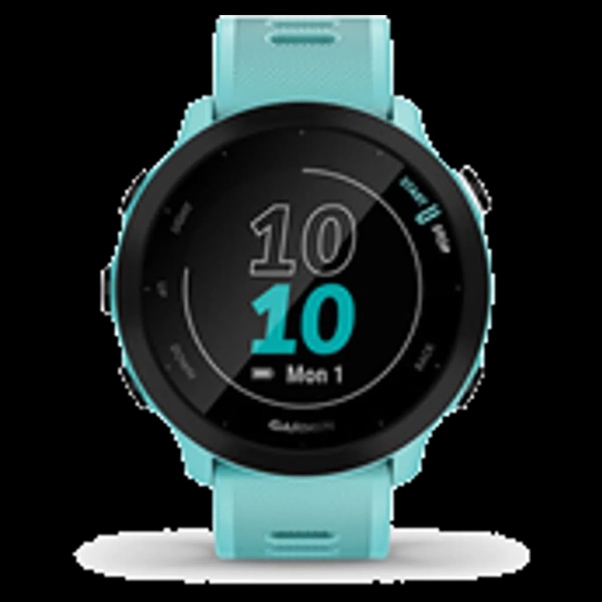 Garmin Garmin Forerunner 55 reconditionné