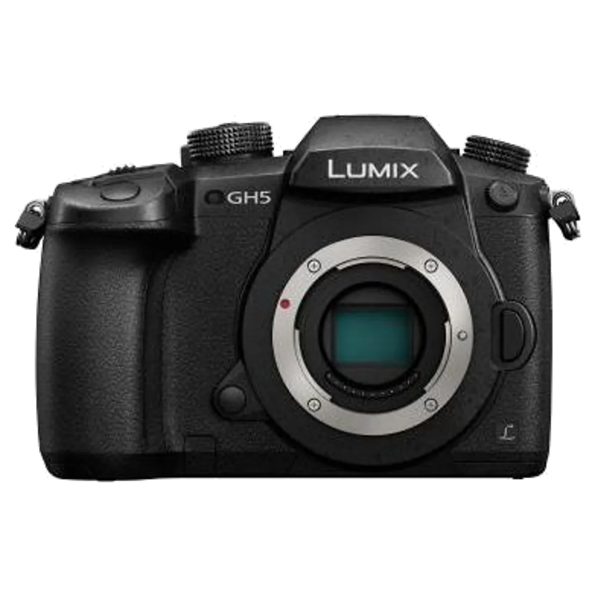 Panasonic Panasonic Lumix GH5 reconditionné