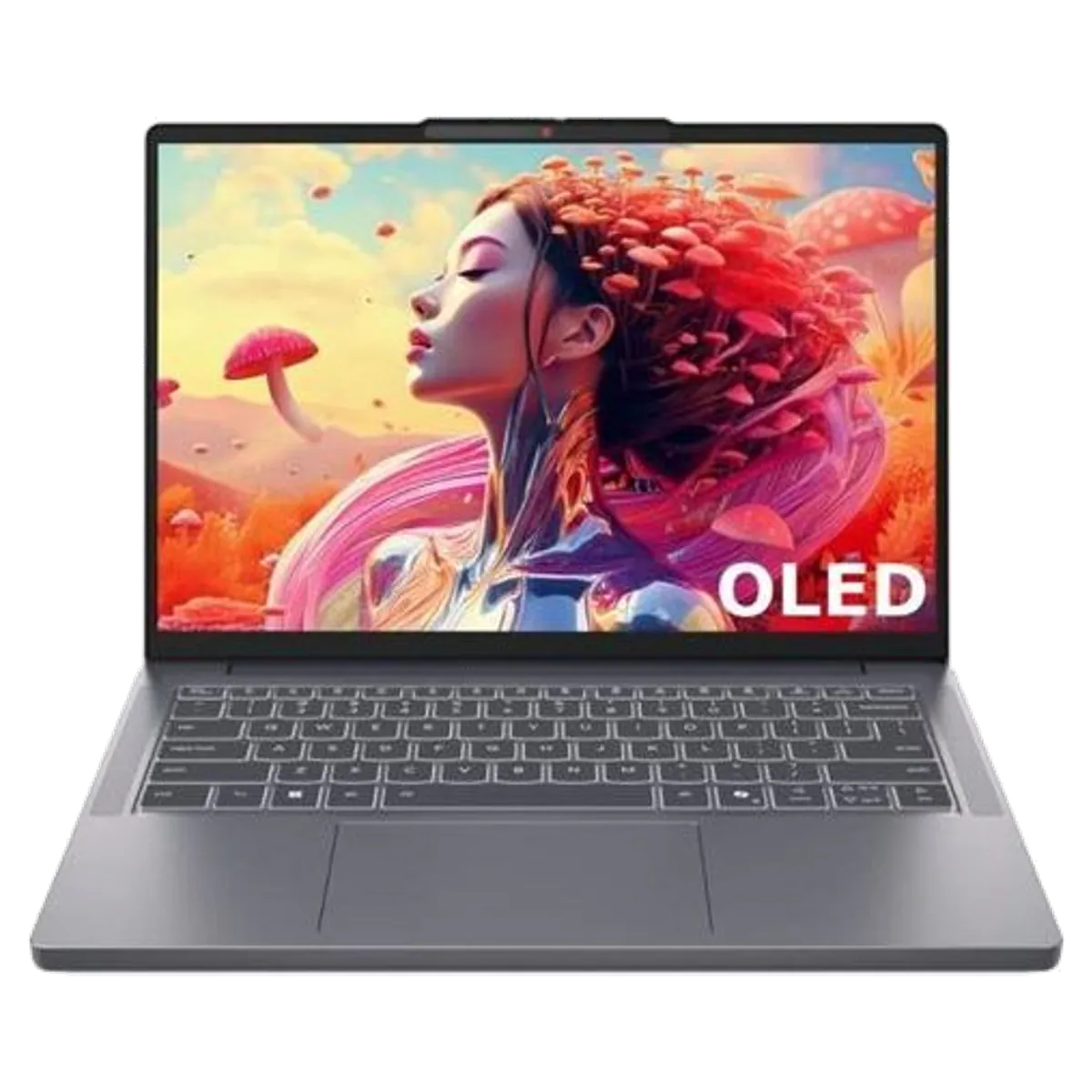 Lenovo Lenovo IdeaPad Slim 14" reconditionné