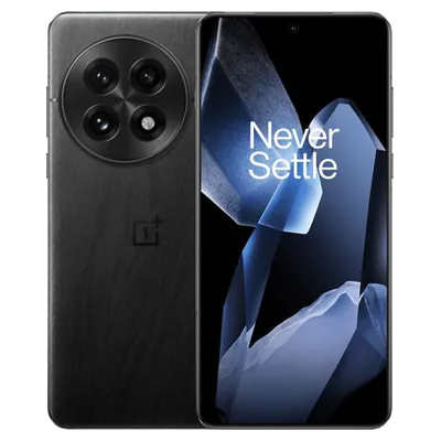OnePlus 13