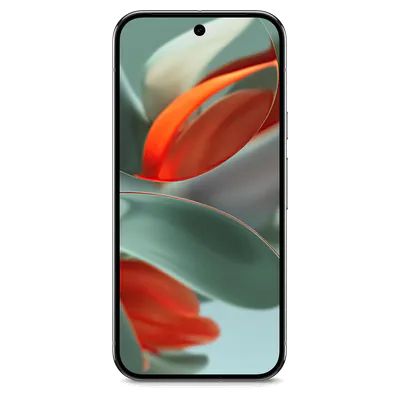 Pixel 9 Pro
