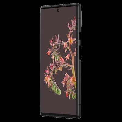 Google Pixel 6 reconditionné