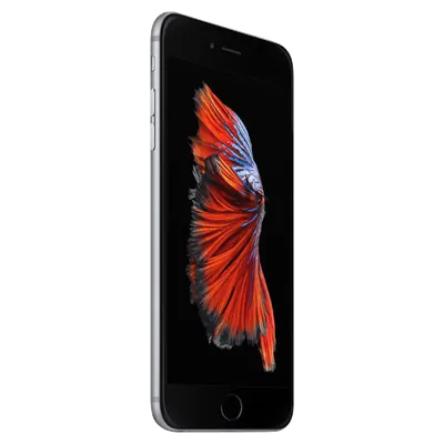 Apple iPhone 6s Plus reconditionné