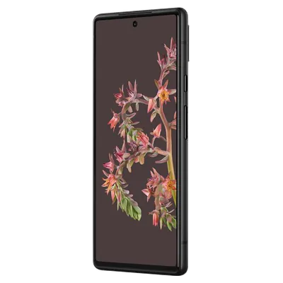 Pixel 6