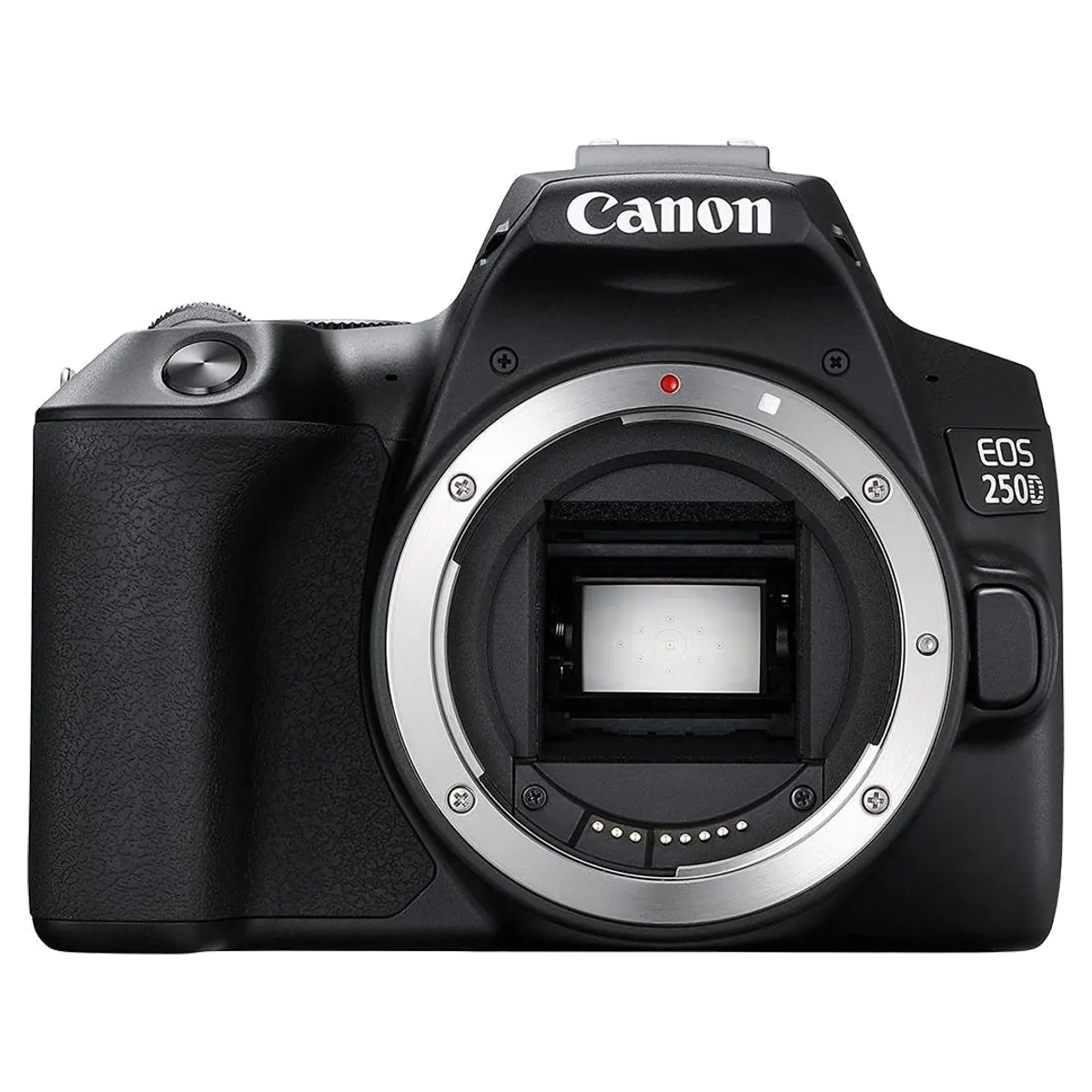 Canon EOS 250D reconditionné - meilleur prix