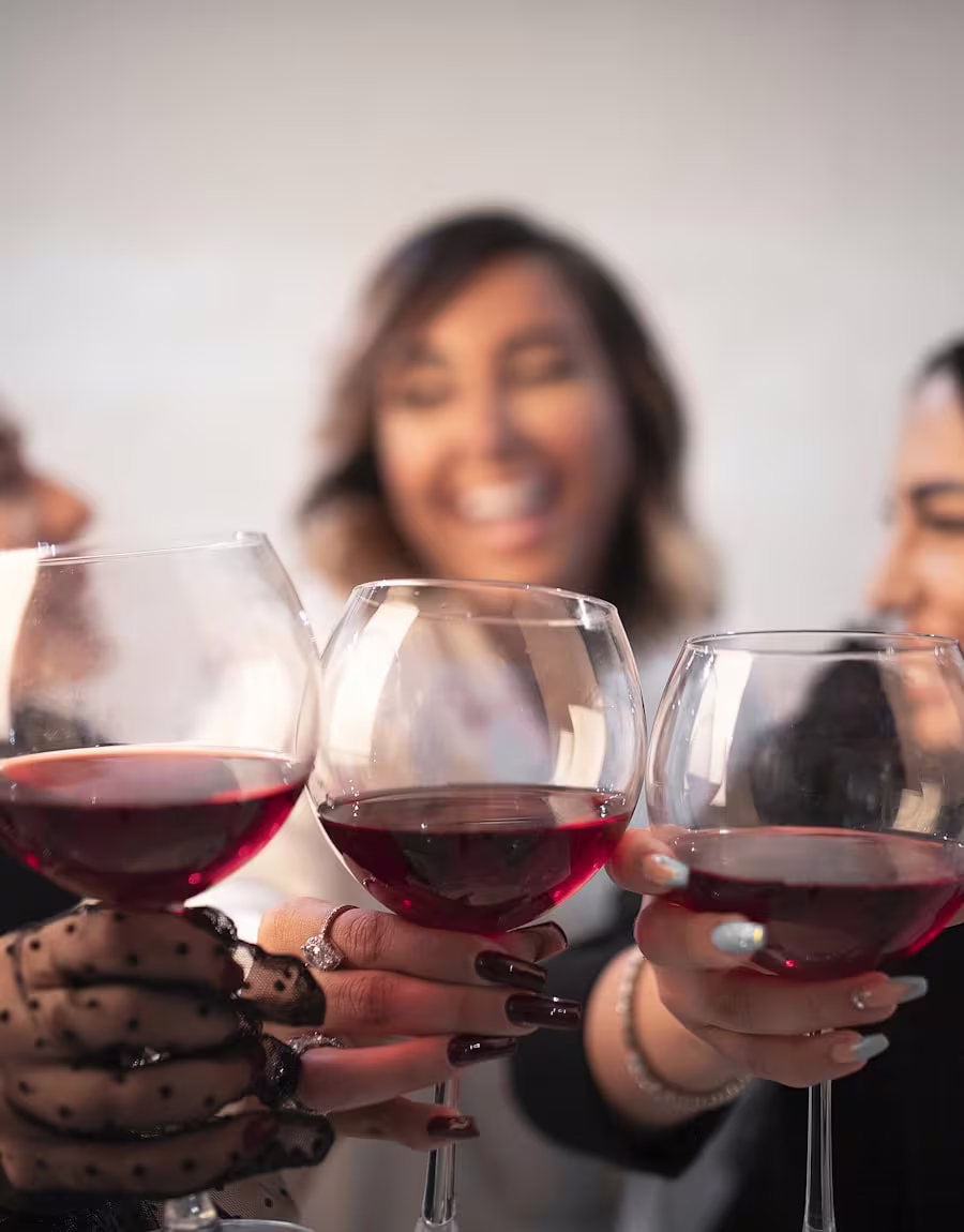 Caves à vin reconditionnées populaires