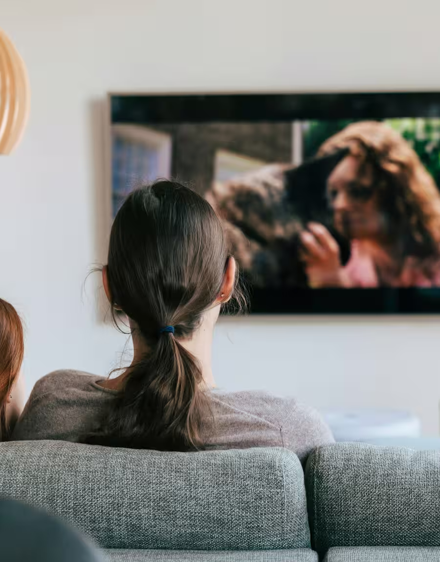 Téléviseurs reconditionnés populaires