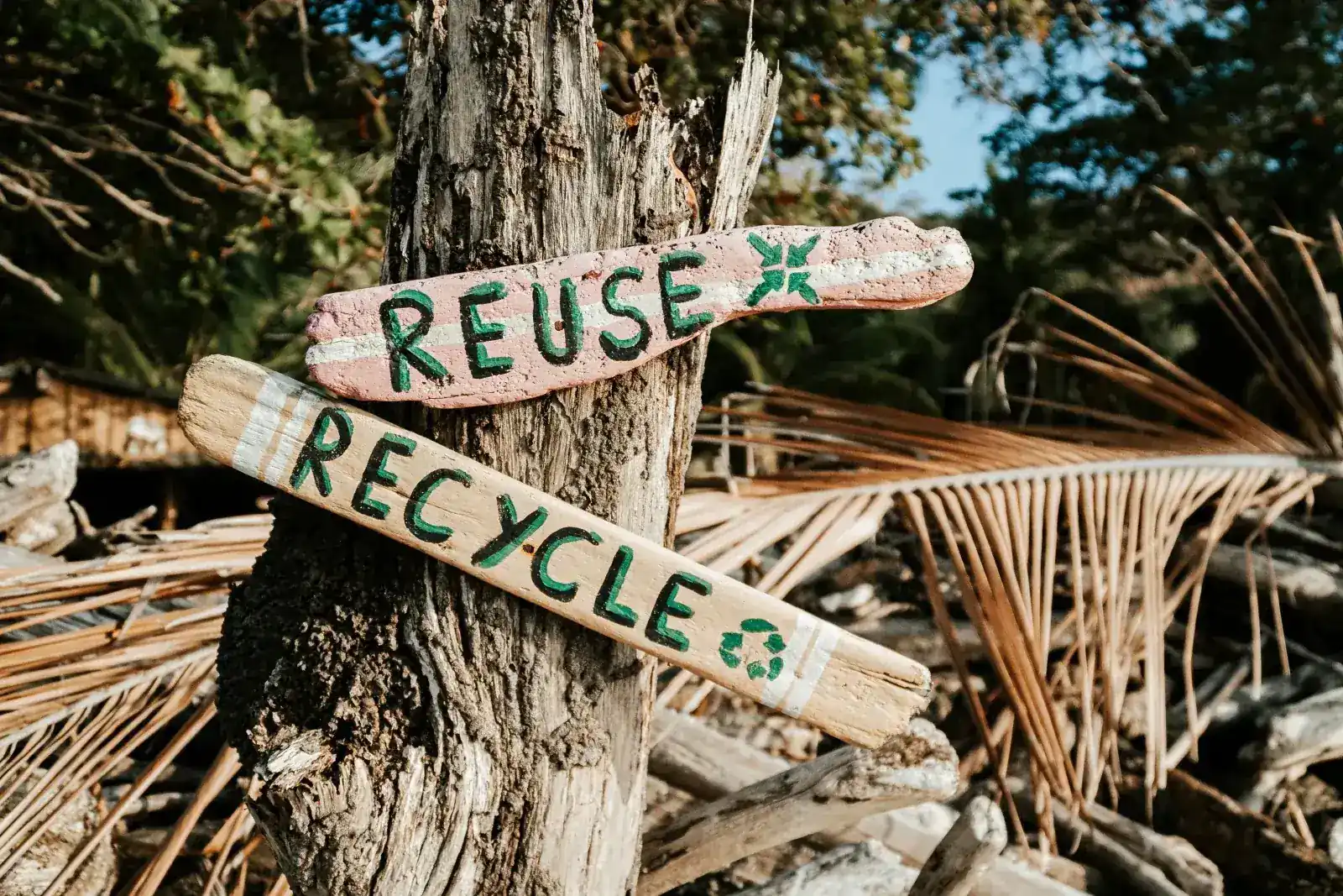 Consommation responsable : reuse - recycle