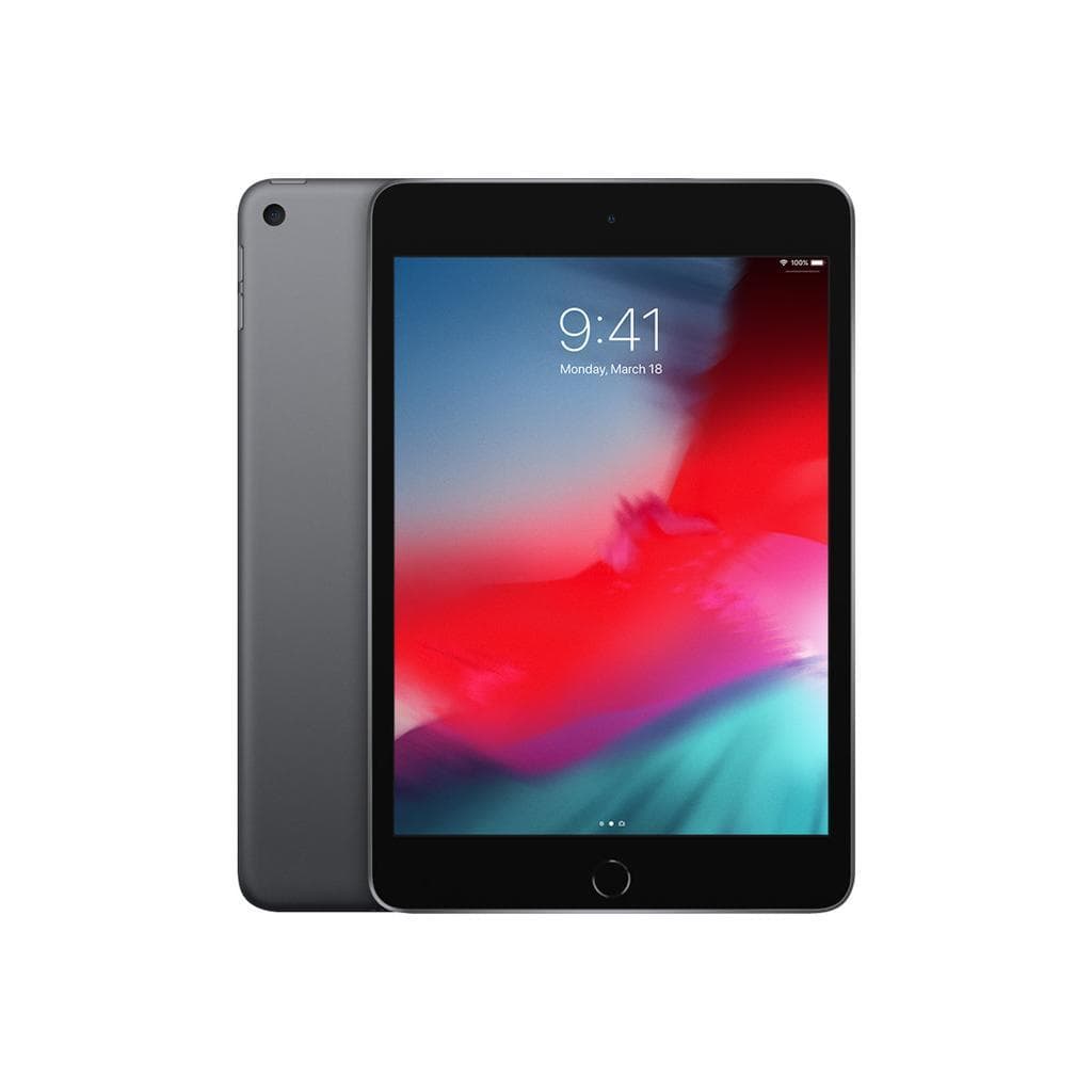 iPad mini 5 A12 2019