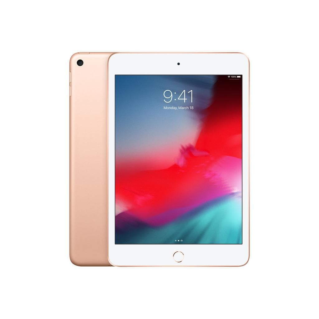iPad mini 5 A12 2019