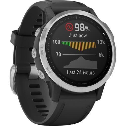 Garmin Fenix 6s