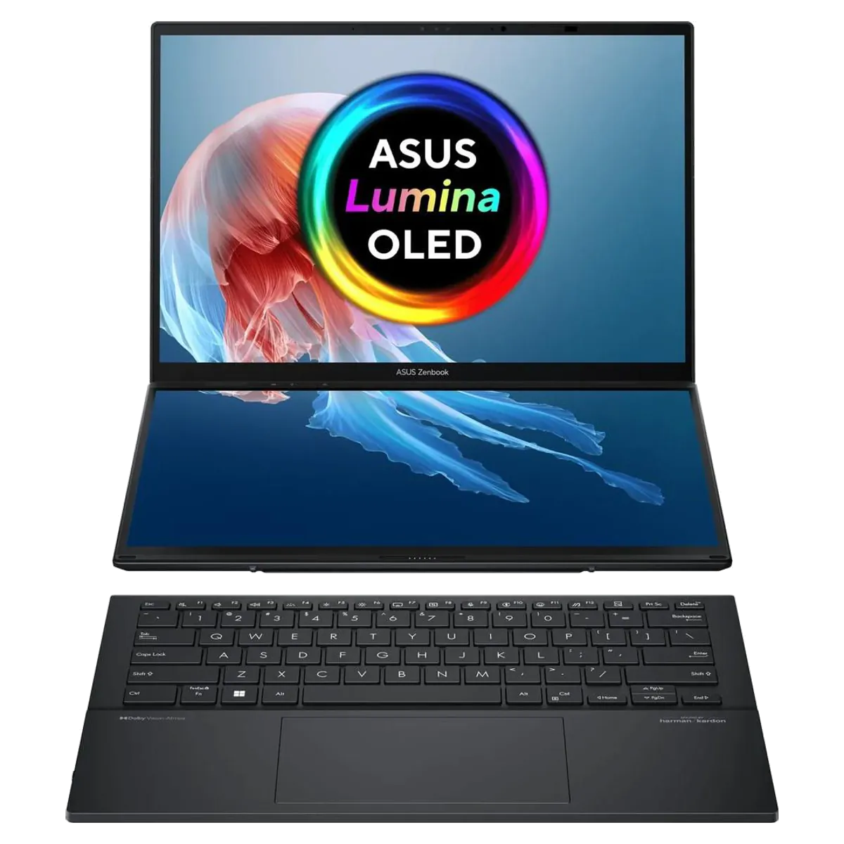 Asus ZenBook D 14" reconditionné