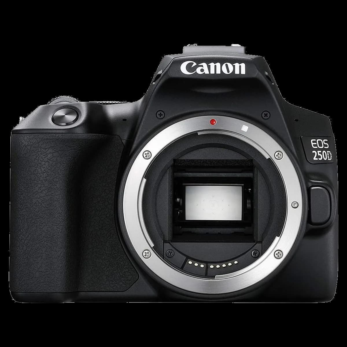 Canon EOS 250D reconditionné