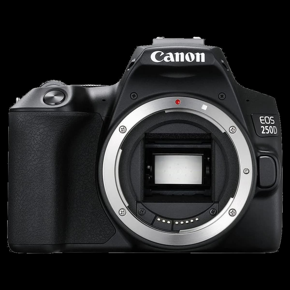 Canon EOS 250D reconditionné