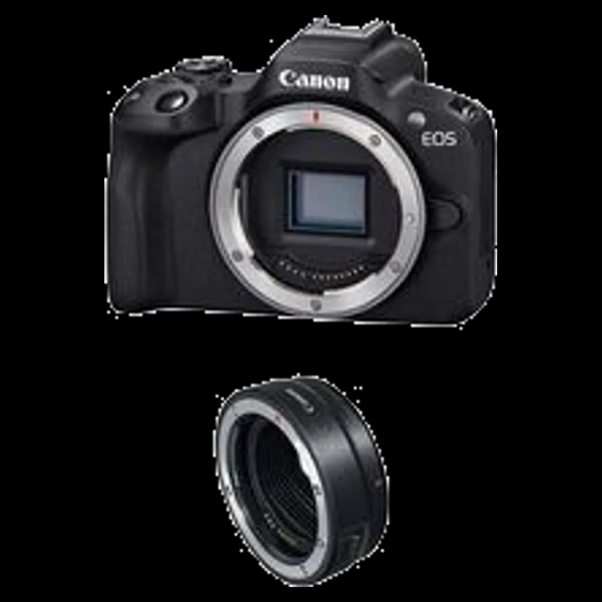 Canon EOS R50 reconditionné