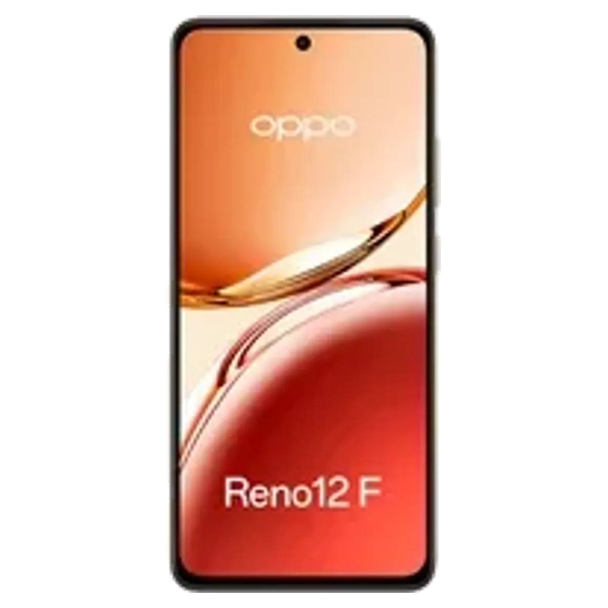 Oppo Oppo Reno 12 FS reconditionné