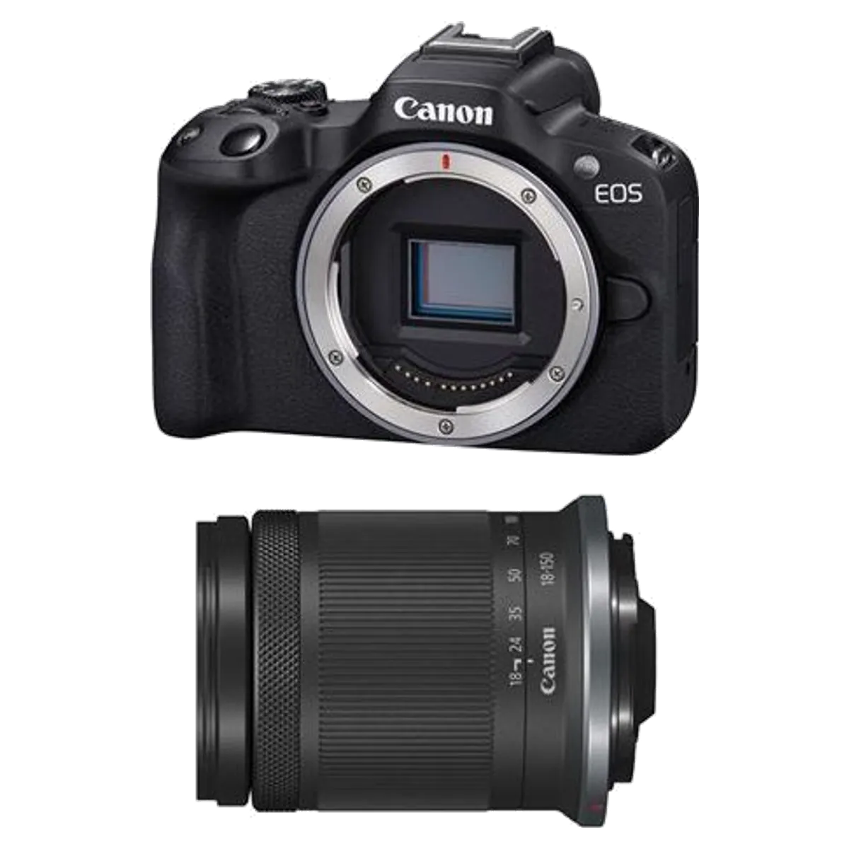 Canon Canon EOS R50 reconditionné