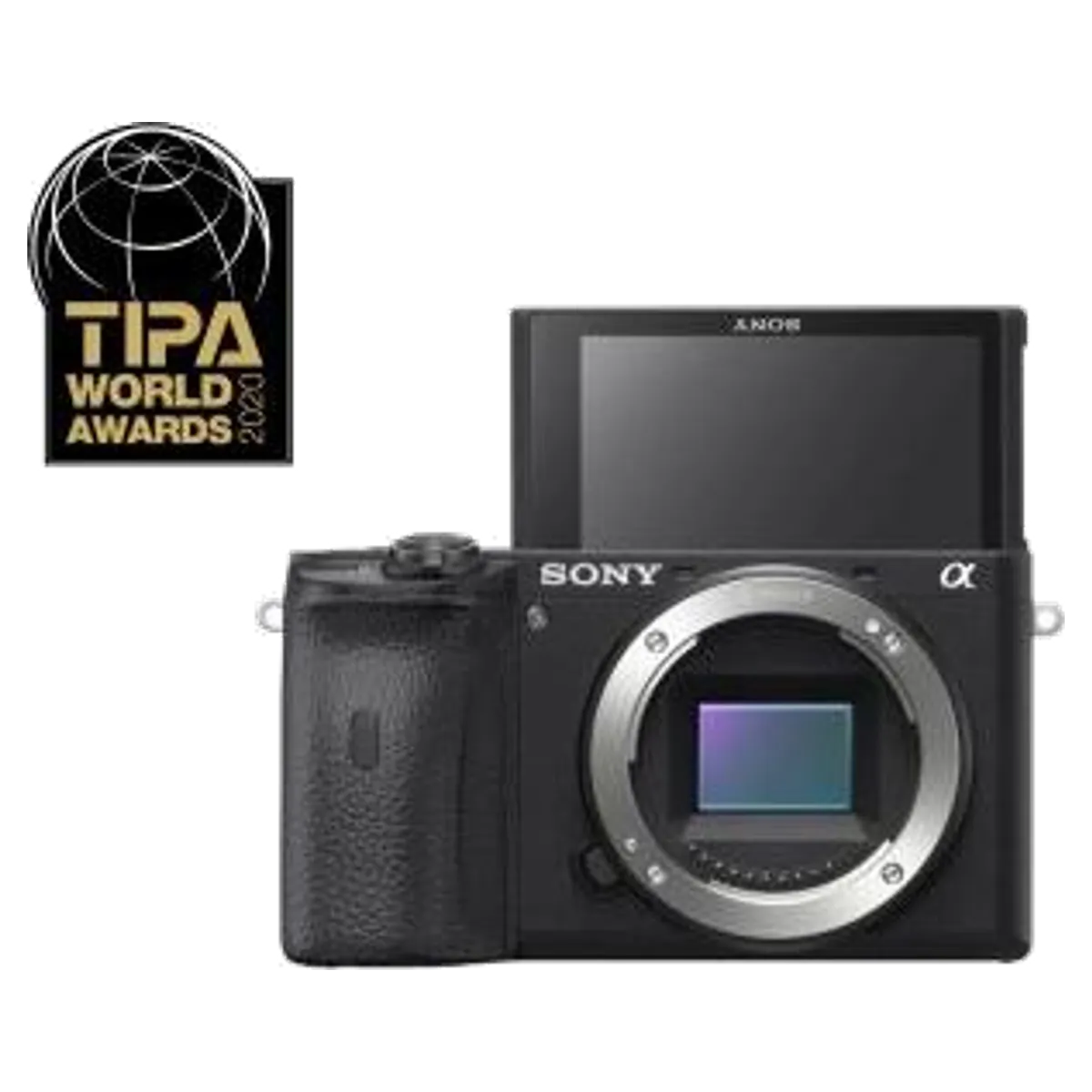 Sony Alpha 6600 reconditionné