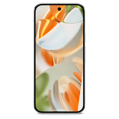 Pixel 9 Pro XL