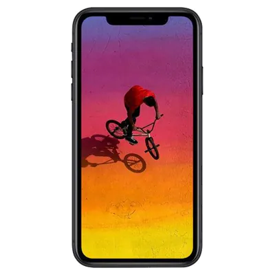 iPhone XR