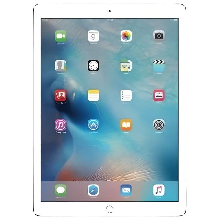 iPad Pro A9 2015