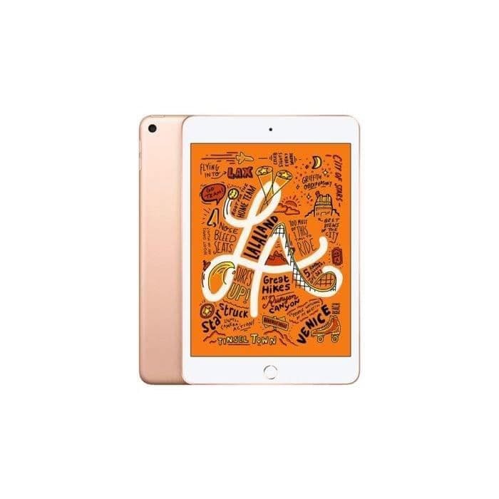 iPad mini 5 A12 2019